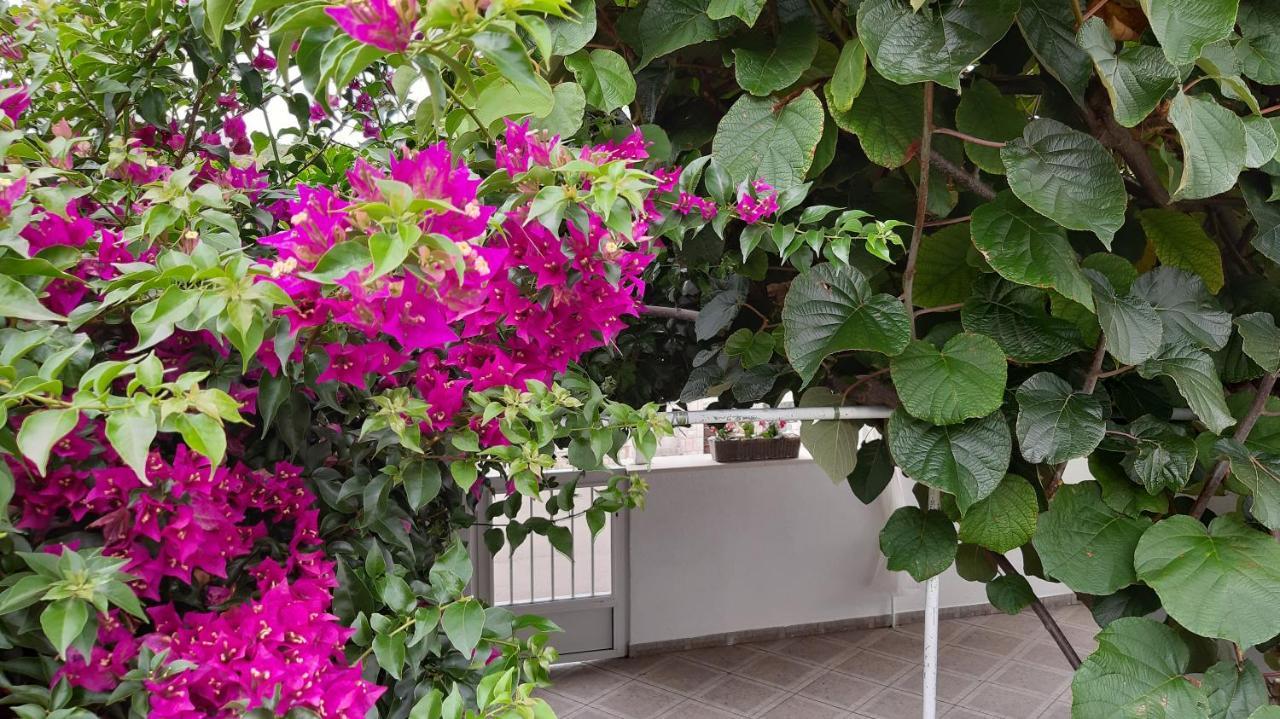 Studio Apartman Kornelija Лумбарда Экстерьер фото